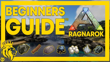 BEGINNERS GUIDE To Ragnarok | New To Pro in 8 Mins! | ARK: Survival Evolved