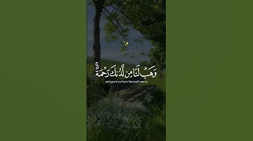 #الشيخ #سورة_المؤمنون #عبدالرحمن_مسعد #قران_كريم #ياسر_الدوسري #اكسبلور #راحة_نفسية #قراءة #لايك #دو