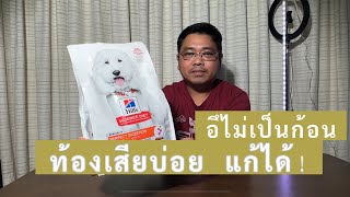 น้องหมาทัองเสีย อึไม่เป็นก้อน แก้ได้!