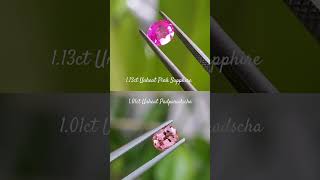 What’s your pick Hot Pink Sapphire or PinkOrange Padparadscha pinksapphire padparadscha gemstone