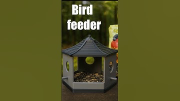 I 3D Printed This Stylish Bird Feeder! 🖤🐦‍⬛