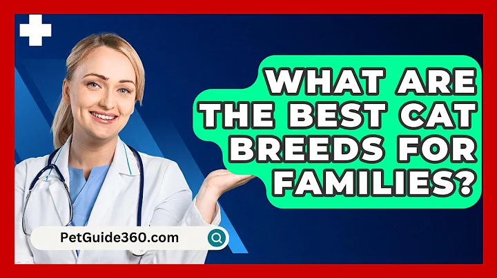 What Are The Best Cat Breeds For Families? - PetGuide360.com