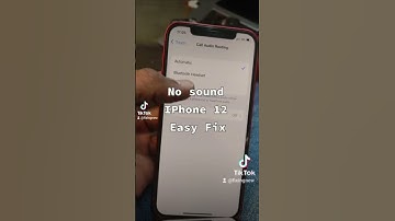 No sound Ear piece not working,#iphone12 #nosound