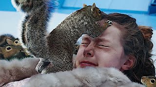 Squirrel Attack - Charlie och chokladfabriken