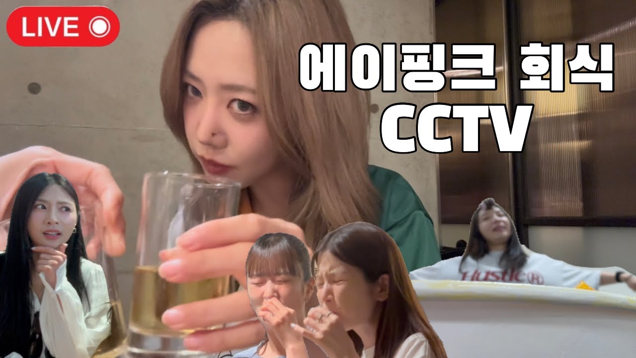 에이핑크 회식 현장 cctv