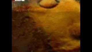 Salleh Jambu - Muhammad Keturunan Mulia