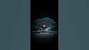 قران كريم 😴😢💖🌹🥀