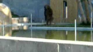 zoo de vigo -galicia