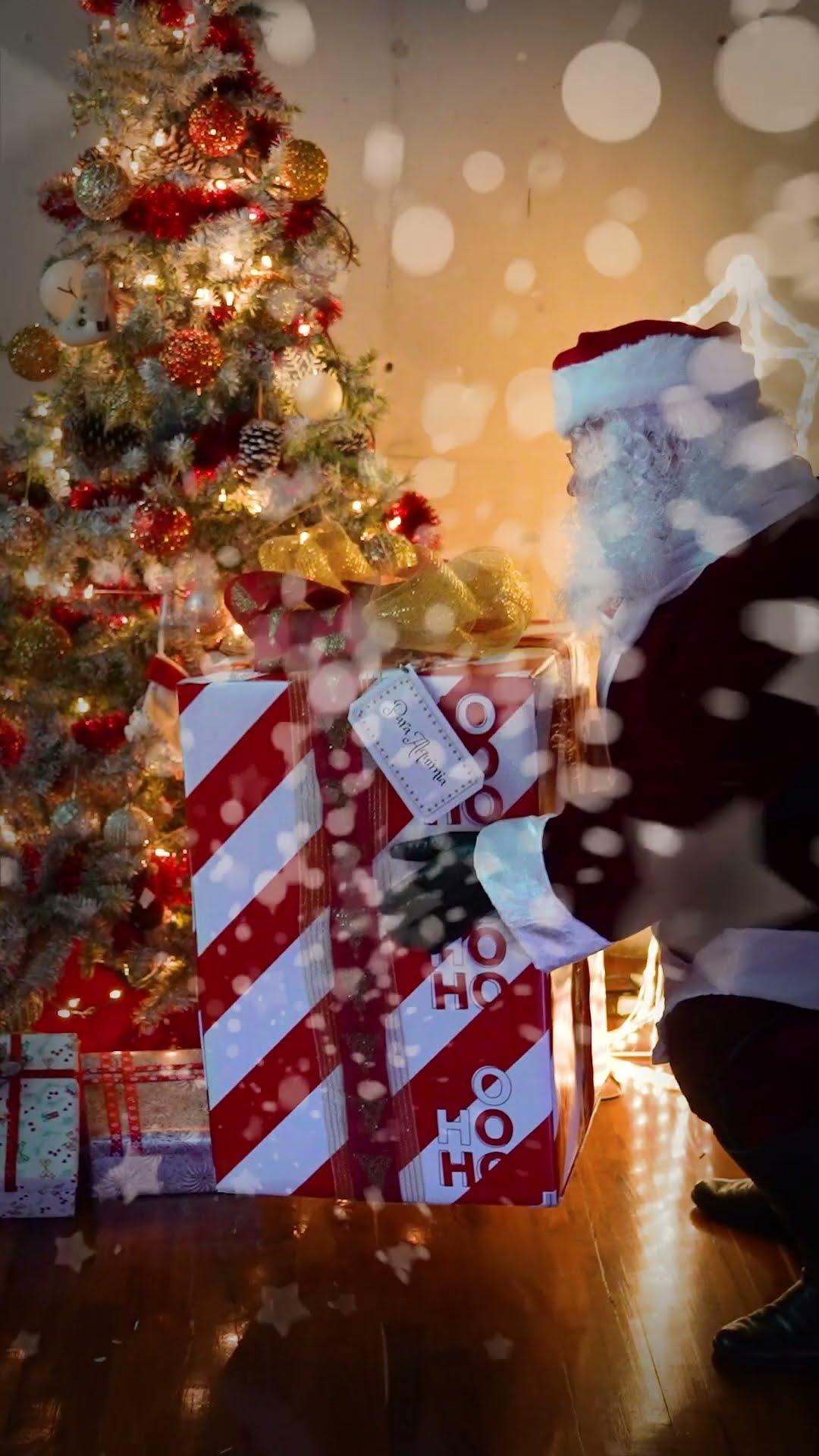 Nuestra Navidad con Alquimia ?? #lospolinesios