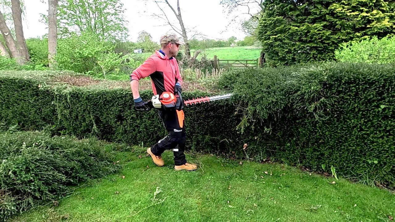 Long FLOPPY HEDGE gets a Weird Looking Renovation and Trim