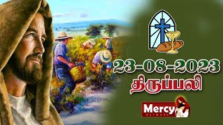 LIVE - 23-08-2023 | Wednesday Mass | St.Andrews Church, Puducherry | Daily Tamil Mass | Mercy TV