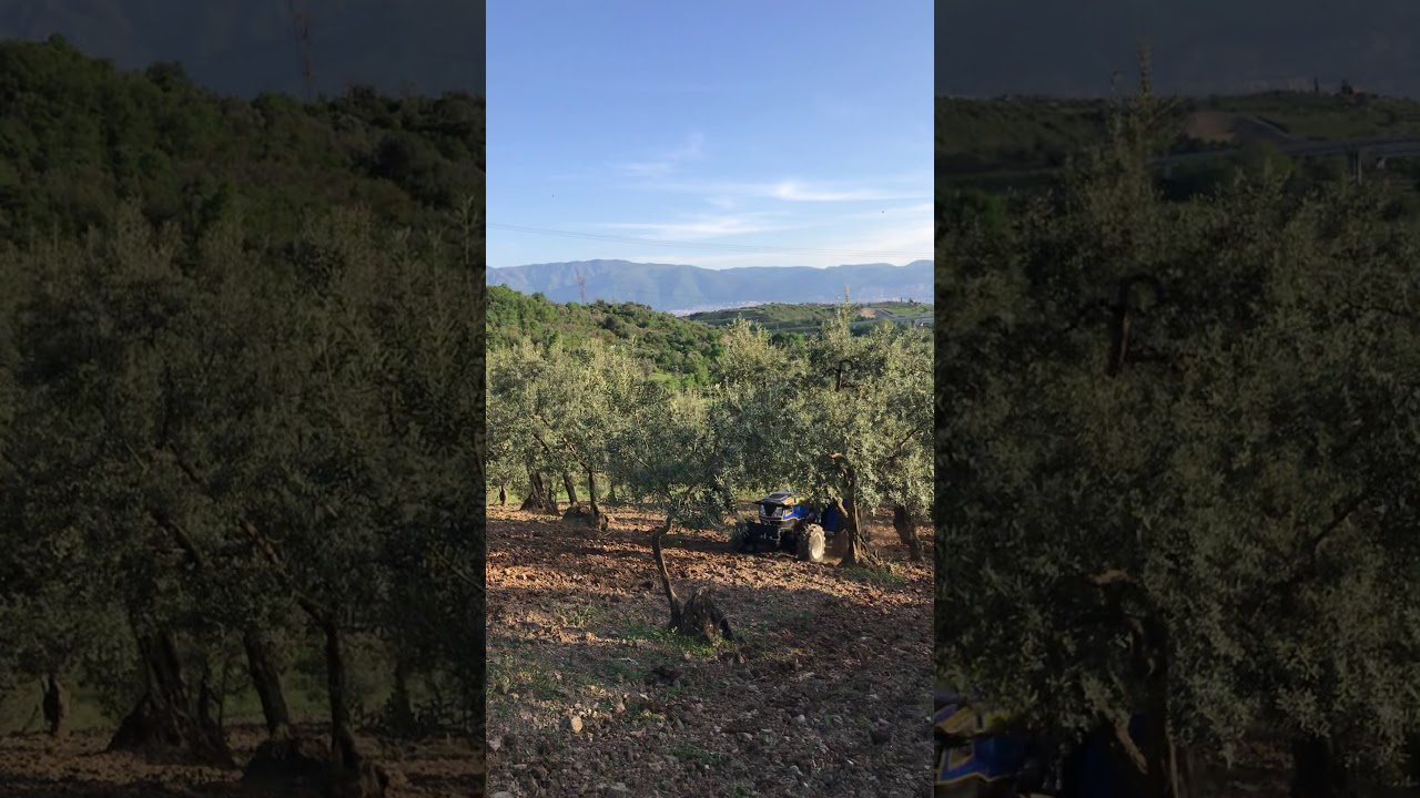 Newholland 580B Gaz ayağı performansı BURSA/DEMİRTAŞ (Sadri Mehmet)