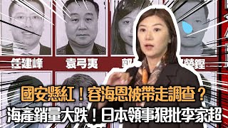【高志森來了】國安懸紅!容海恩被帶走調查?|海產銷量大跌!日本領事「狠批」李家超 真話媒x高志森油管20230724