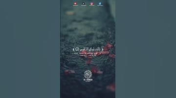 تلاوة رائعة من سورة الشعراء ✨🤍