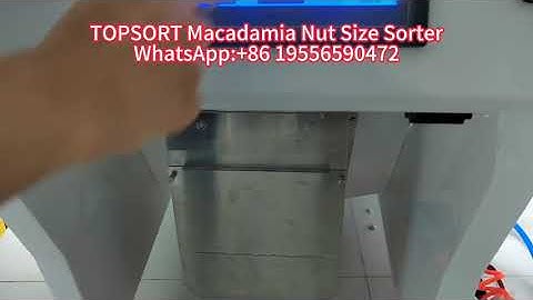 TOPSORT macadamia nut size sorter
