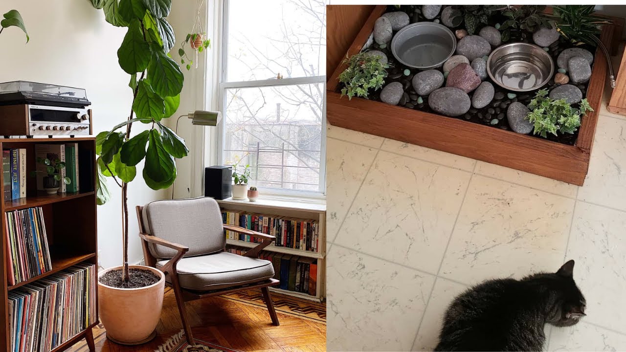 How decor for pet owner practical tips