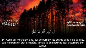 Sourate Mohammed | Mohammed Al-Faqih (47) سورة محمد | محمد الفقيه