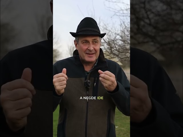 Savršen gulaš od mangulice #shorts