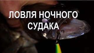 Ловля ночного судака [Судак ночью]