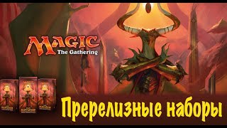:   MTG  