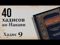 40 хадисов имама ан-Навави | Хадис 9 | Хаким Рамадан