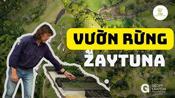 Khám Phá Vườn Rừng Zaytuna 23 Năm Tuổi: Bí Quyết Thành Công Của Geoff Lawton