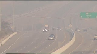 How wildfire smoke affects animals