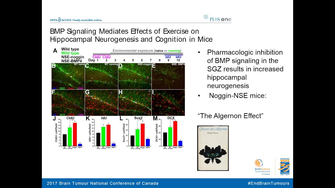 Research Symposium: Targeted therapy in glioblastoma: Overcoming heterogeneity by focusing...