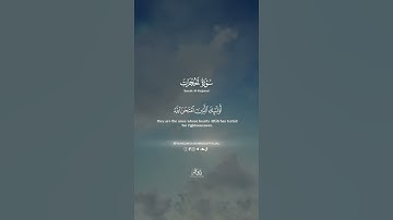 أولَـٰئكَ الذينَ امتَحَنَ اللهُ قُلوبَهُم || طارق محمد || من سورة الحجرات