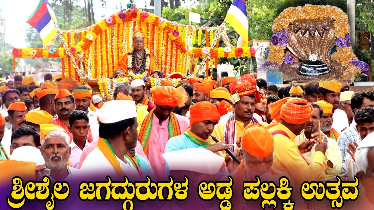 Srishaila Mallikarjuna ಶ್ರೀ ಶ್ರೀಶೈಲ ಜಗದ್ಗುರುಗಳ ಅಡ್ಡಪಲ್ಲಕ್ಕಿ ಉತ್ಸವ ಮಳಲಿ #srishailam #Mallikarjuna