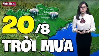 Dự báo thời tiết hôm nay và ngày mai 20/8 | Dự báo thời tiết đêm nay mới nhất screenshot 4