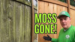 Old Fence Magically Brought Back, #satisfyingclean, #fencecleaning, #asmr,