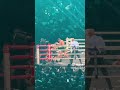 Sebastian Fundora stops Tim Szyu...💥🔥💯
