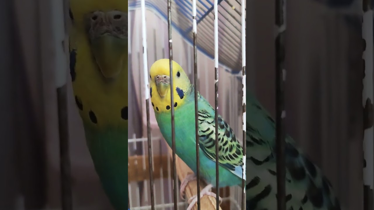 25 вересня 2024 р.