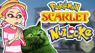 Pokemon Scarlet Nuzlocke Stream Episode 2 - Green cat vs Bugs
I think i picked the wrong starter
like the thumbnail? go follow minusblueprints
https://twitter.com/MinusBlueprints
Get your Official GG T-Shirt here!
https://teespring.com/GG-official-Tshirt
Follow me on twitter!
https://twitter.com/Gabriel_Prevost
#pokemonscarletandviolet #pokemon #sprigatito Pokemon Scarlet Nuzlocke Stream Episode 2 - Green cat vs Bugs