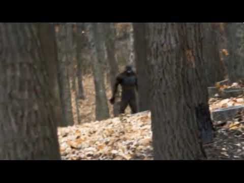 Снежный человек Северной Америки и Канады: легенды, загадки и гипотезы Снежный человек Северной Америки и Канады: легенды, загадки и гипотезы