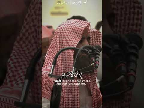 فلما ألقوا قال موسى ما جئتم به السحر محمد اللحيدان