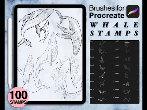 100 procreate whale stamps, a Brush Add-On by Arts For Peace (Thumbnail 1 of 9)