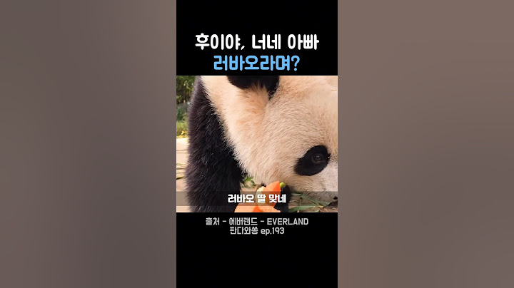 워토우가 뭐라고ㅠㅠㅋㅋㅋ #후이바오