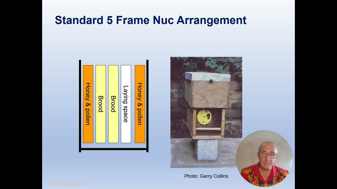 Session 3 Making and Use of Nuclei