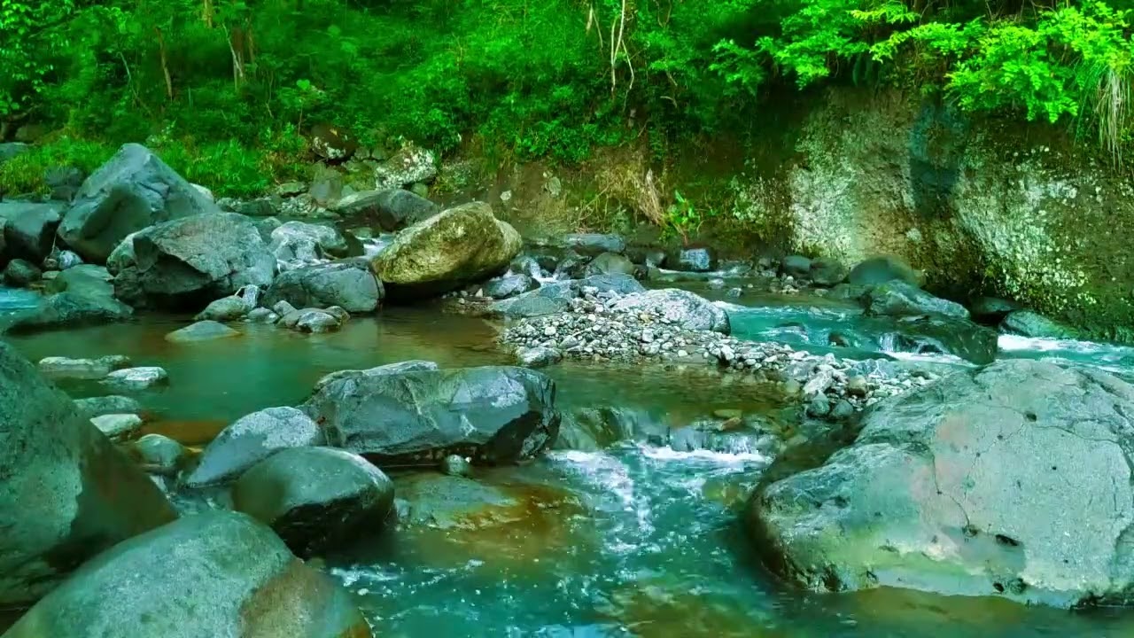 Sleep Soundly with Peaceful River Melody and Calm Water Sounds in Peaceful Forest