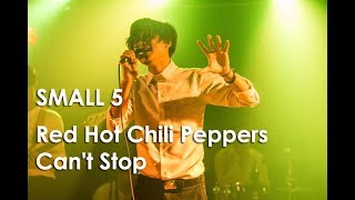 Red Hot Chili Peppers - Can't Stop [ cover by Small 5 ] [2017]