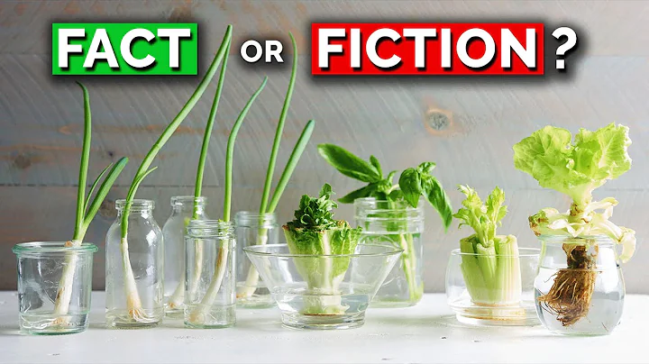 The TRUTH About Regrowing Veggies From Kitchen Scraps - DayDayNews