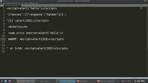 XSS - Reflecting (Referrer / User-Agent / Stored Blog)