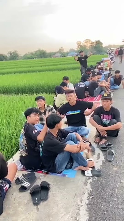 info perkopian mas jeh #dolanjeh #shortvideo #cepekmbois #shorts