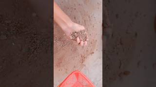 gritty Red Dirt sifting &amp; gritty Red Dirt texture play🔥💨🤤#asmr #satisfying #mouthwatering #reddirt