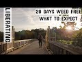 Quit Smoking Weed 20 Days | What to Expect | How I Quit Smoking Weed