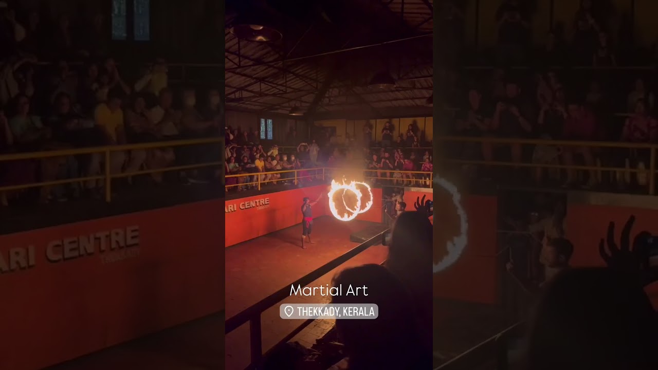 Kadathanadan Kalari & Navarasa Kathakali Centre 