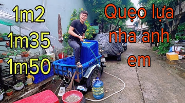 ✅ Chi tiết 3 combo cần câu cá giá rẻ 210k 220k 235k | DUY FISHING SAI GON