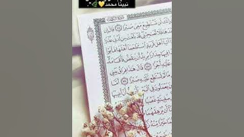 سورة النمل للشيخ احمد فهيم